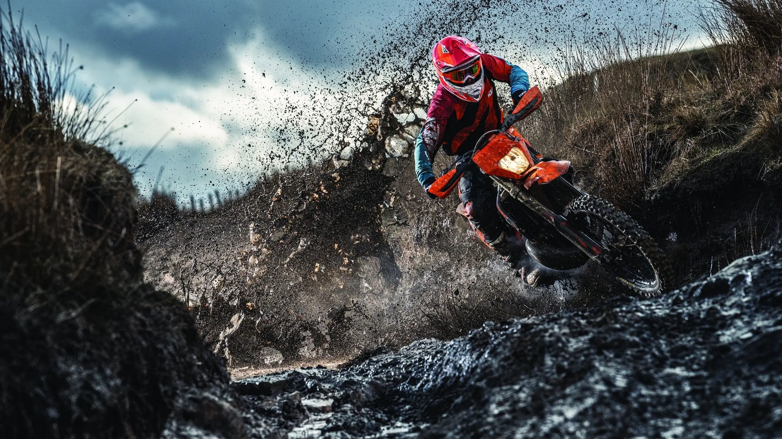 美国队在巴黎奥运会比赛中展现出快速反击战术，奥运 美国 反超